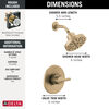 Widespread Lavatory Faucet with Shower Trim Bundle - 14 Series